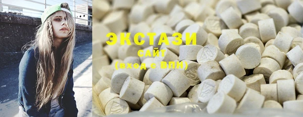 мдпв Инсар