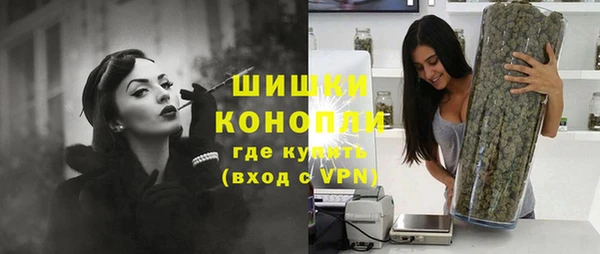 индика Иннополис