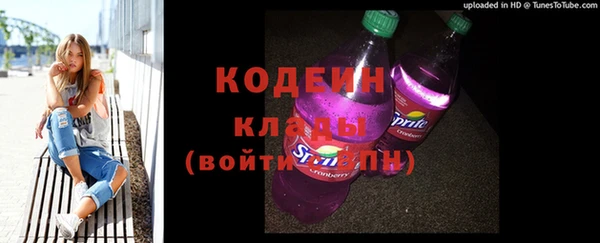 мдпв Инсар