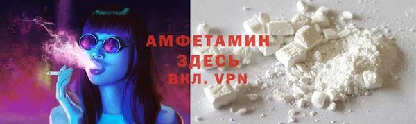 мдпв Инсар