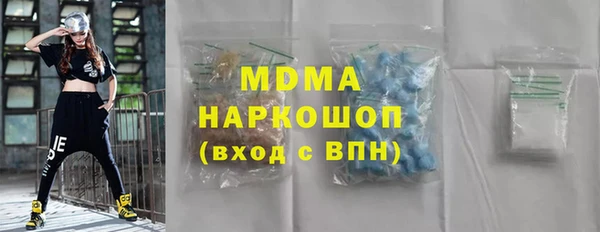 мдпв Инсар