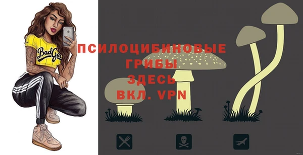 ALPHA PVP Зерноград