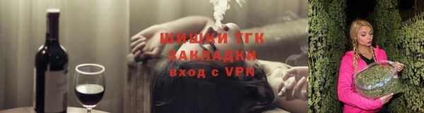 МДПВ Инта