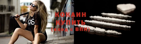 мдпв Инсар