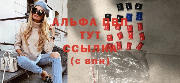 индика Иннополис