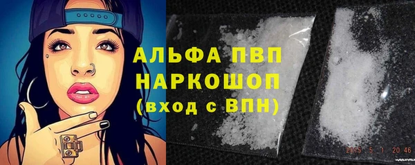 индика Иннополис