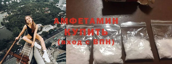 индика Иннополис