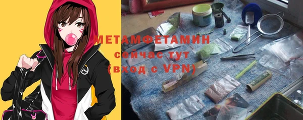 индика Иннополис