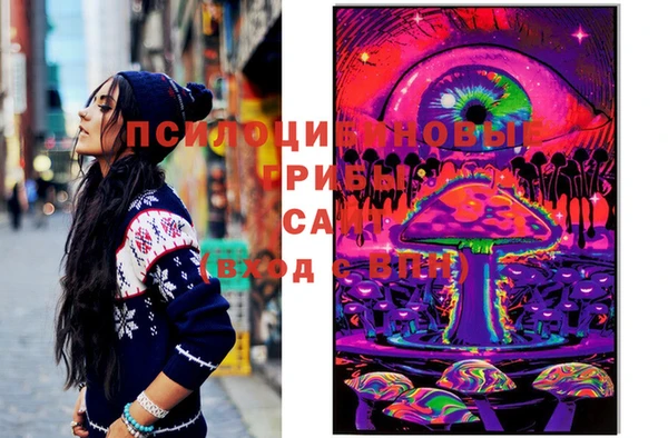 мдпв Инсар