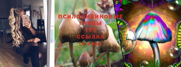 мдпв Инсар
