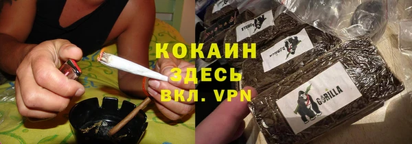 мдпв Инсар