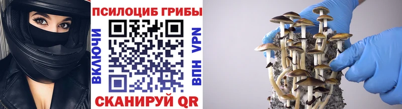 Галлюциногенные грибы мухоморы  дарнет шоп  Радужный 